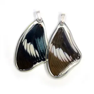 BU-0535-T-PE<BR>Butterfly wing pendant ONLY, Scarce Blue Diadem Butterfly, top wing