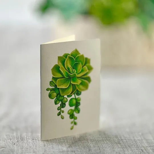 Life Sized Pop-Up Cactus Garden Card