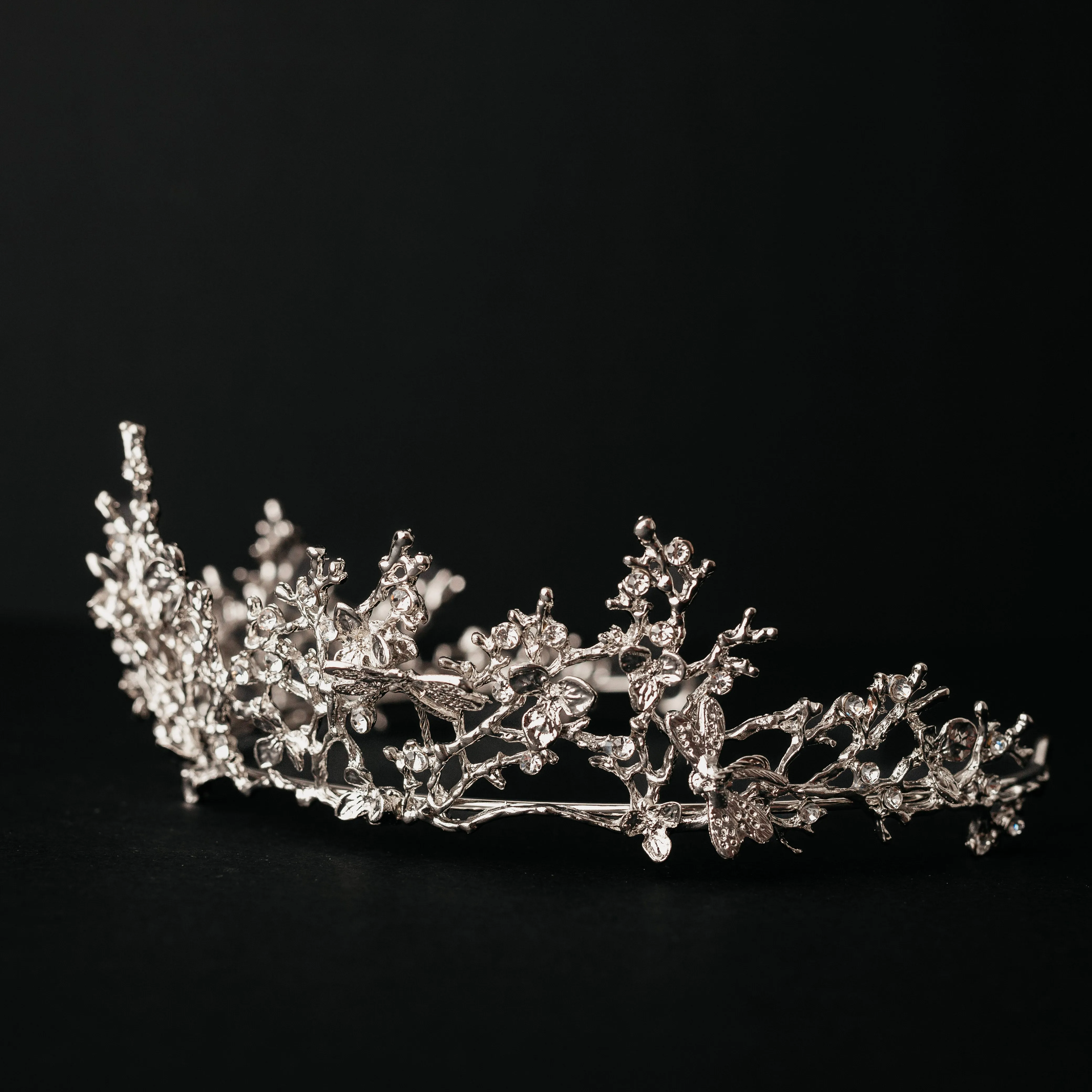 Verna's Tiara in Silver